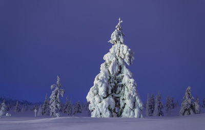 Scenic view of snow covered landscape