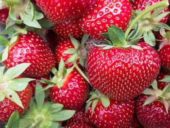 Full frame shot of strawberries