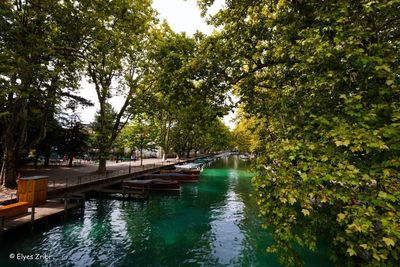 River amidst trees against sky