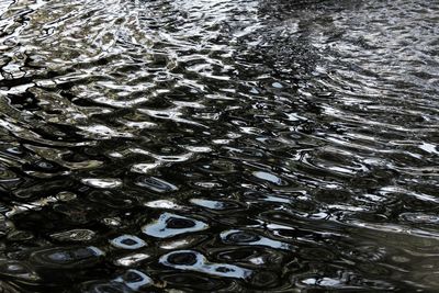 High angle view of raindrops on lake