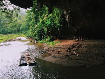 People by river in forest