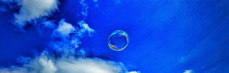 Jellyfish in sea against blue sky