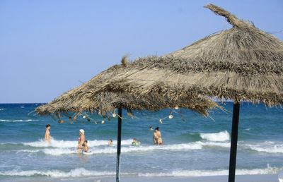 Seagulls on beach against clear blue sky