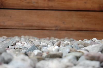 Close-up of stones on wood