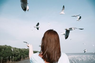 Rear view of woman gesturing with seagulls flying against sky