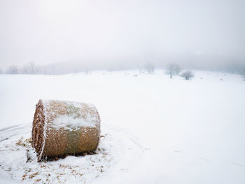 Silent winter landscape with fog and straw bale. forest contour in heavy mist