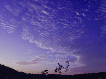 Low angle view of silhouette trees against sky