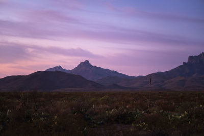 Scenic mountain and desert landscape view of sunrise in big bend national park, texas