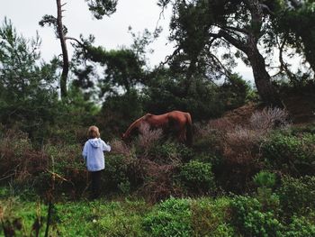 The girl and the horse