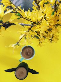 Directly above shot of yellow and coffee on table
