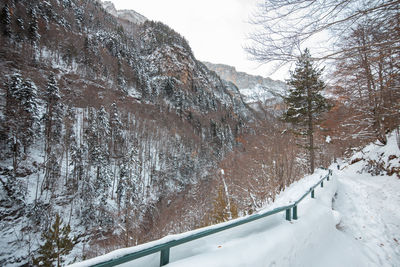 Snow covered land against mountain