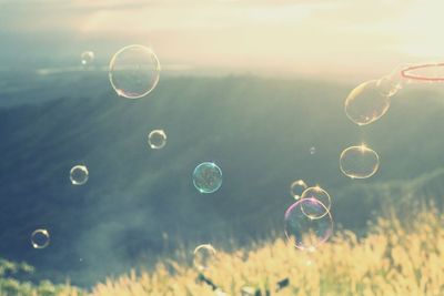 Close-up of bubbles against rainbow in sky