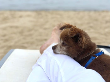 Man with dog on beach