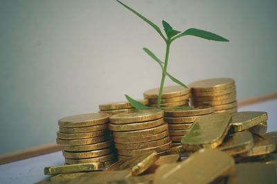 finance