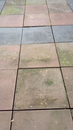 View of paving stone