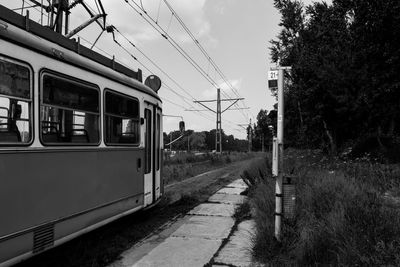 Tram on tracks by trees