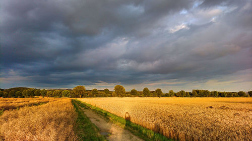 Scenic view of field against storm clouds