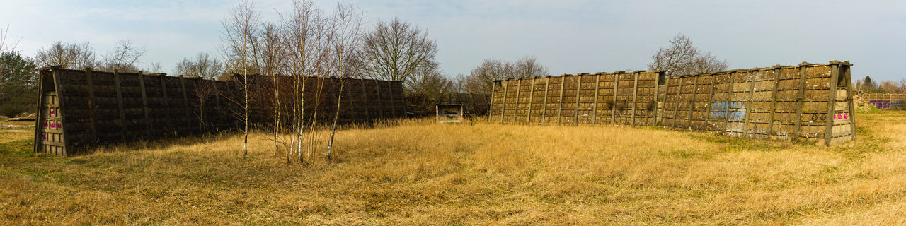 PLANTS GROWING ON FIELD BY BUILDING