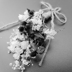 High angle view of flowering plant