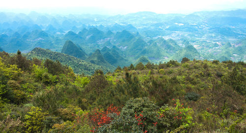 Scenic view of mountains