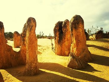 Rock formations on landscape