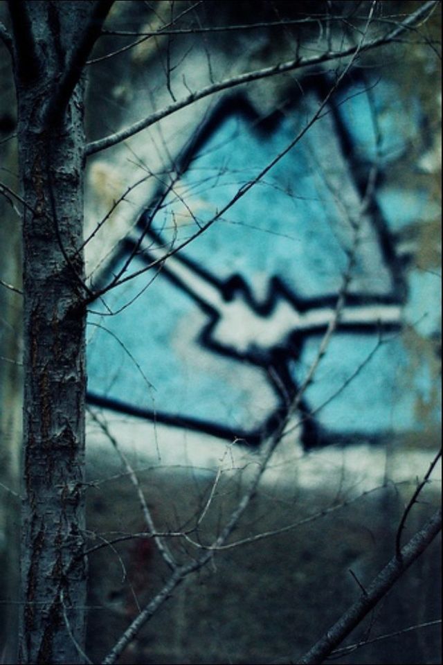 bare tree, fence, water, chainlink fence, close-up, focus on foreground, branch, nature, protection, outdoors, no people, day, tranquility, safety, sky, tree, beauty in nature, reflection, metal, sunlight