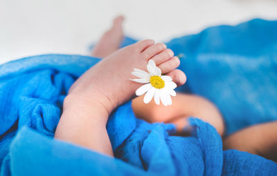 Baby playing with flower on bed at home