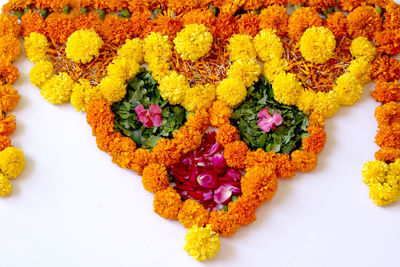 High angle view of multi colored flowers