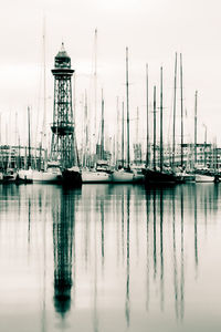 Sailboats in marina