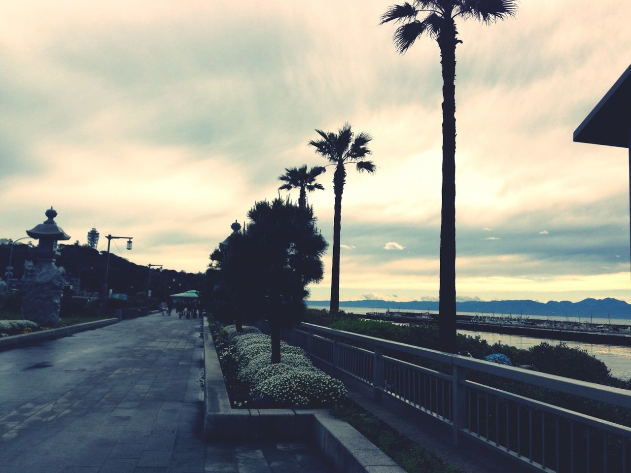 sky, cloud - sky, tree, cloudy, palm tree, built structure, cloud, architecture, the way forward, sunset, building exterior, road, railing, silhouette, nature, street light, outdoors, growth, weather, street