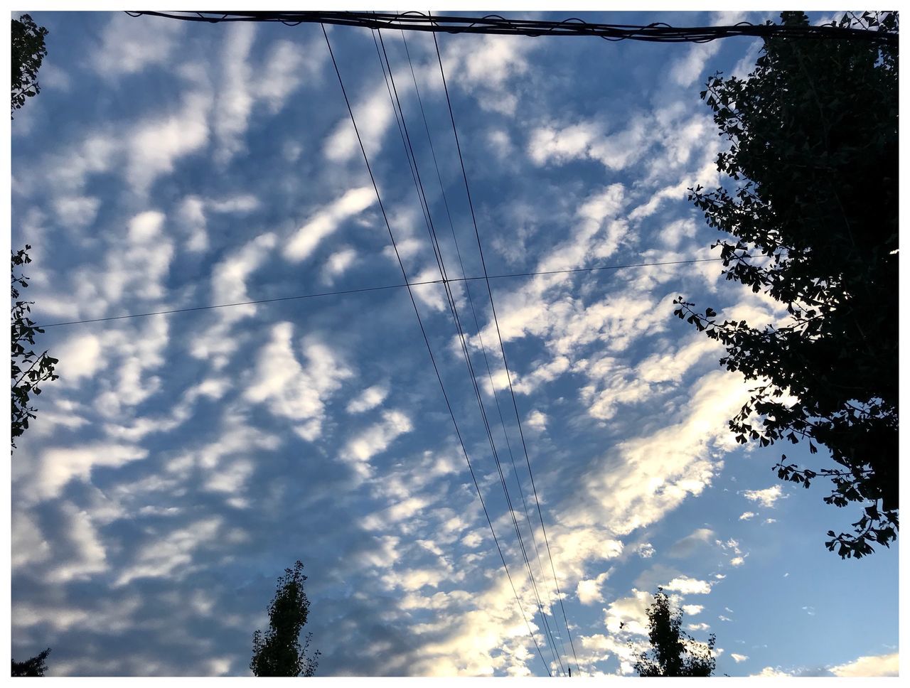low angle view, cable, sky, power line, power supply, cloud - sky, tree, electricity pylon, electricity, nature, silhouette, no people, outdoors, beauty in nature, sunlight, tranquility, day, scenics, vapor trail