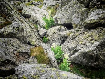 Full frame shot of rocks by stream