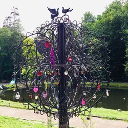 Bicycles on tree in park