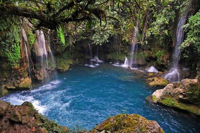 View of waterfall in forest