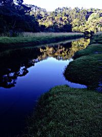 Reflection of trees in lake