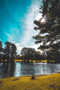Swan on lake against sky
