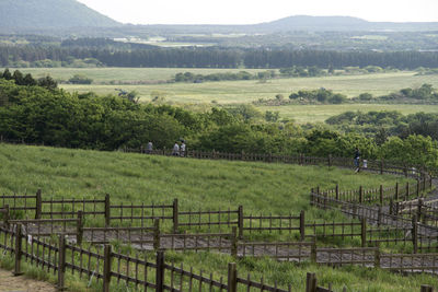 Scenic view of green landscape at sangumburi crater