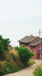 Footpath amidst trees and buildings against sky