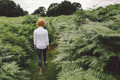 Full length rear view of young woman walking amidst plants on field