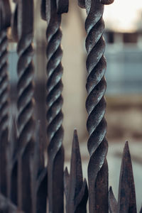 Close-up of wrought iron fence