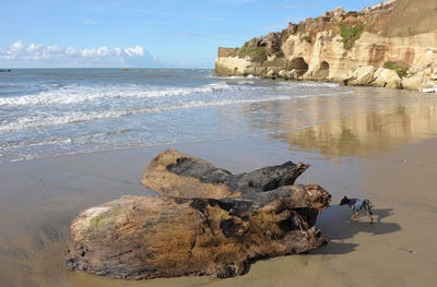 Rocks on beach against sky