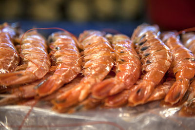 Shrimps at market for sale