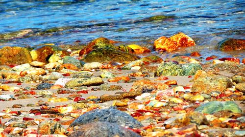 Rocks in sea