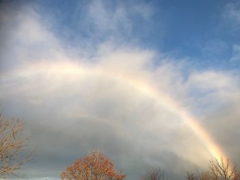 Low angle view of rainbow over trees against sky