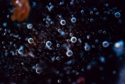 Close-up of bubbles in sea
