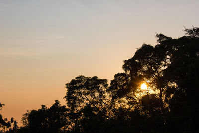 Low angle view of silhouette trees against sky during sunset