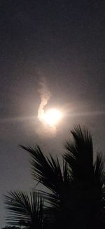 Low angle view of silhouette palm trees against sky during sunset