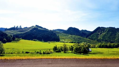 Scenic view of agricultural field against sky