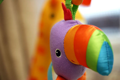 Close-up of parrot toy