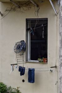 Potted plant hanging on wall